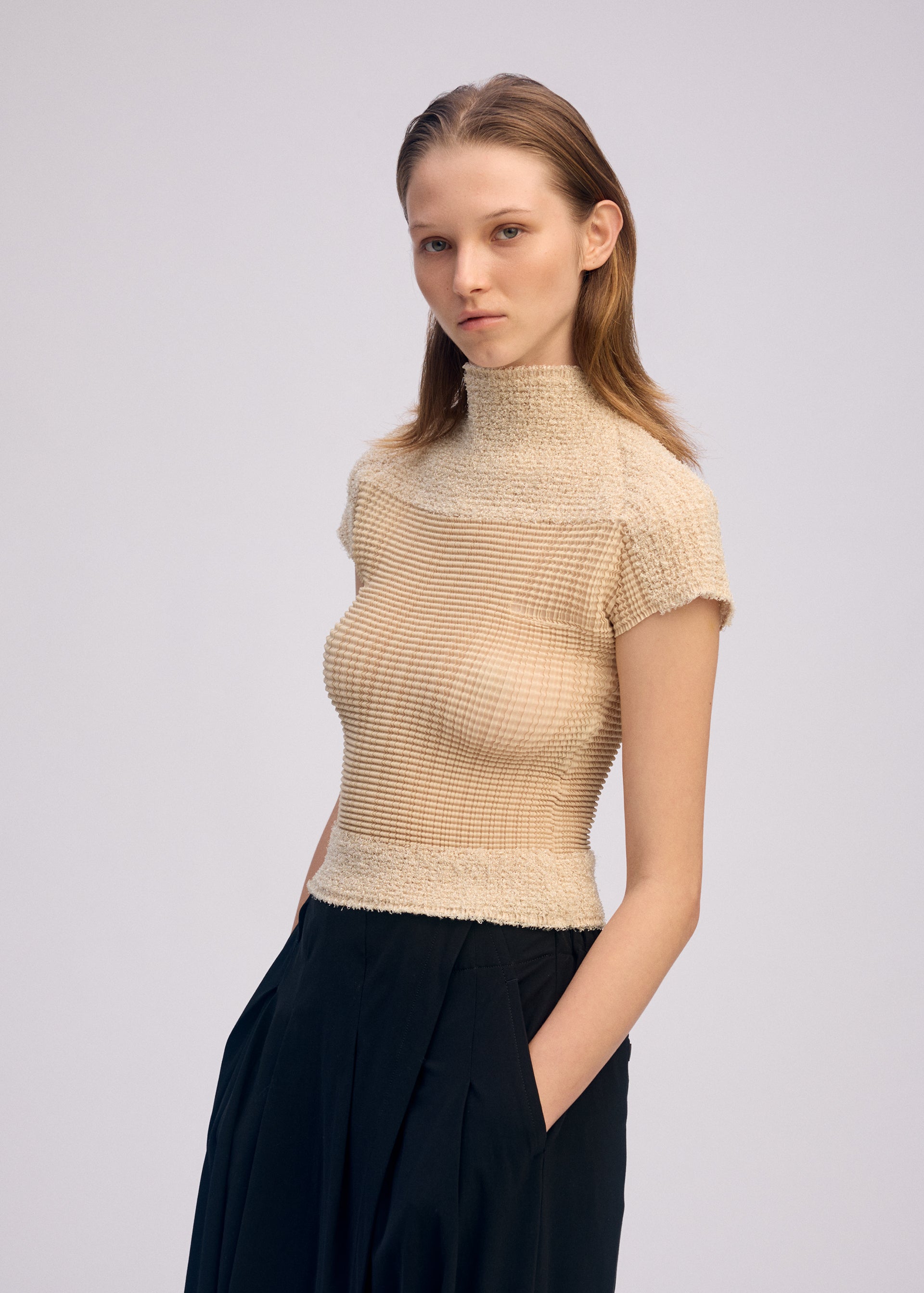 SHEER FUZZY PLEATS High neckline Top Egg Beige – The official