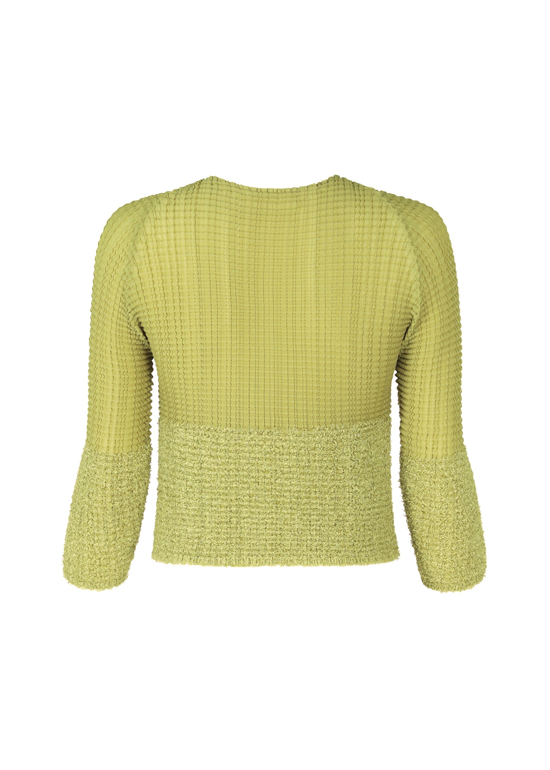 A detail shot of the ISSEY MIYAKE SHEER FUZZY PLEATS shirt.