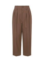 A product shot of the ISSEY MIYAKE SIMPLE ENSEMBLE clothing in dark brown (45).