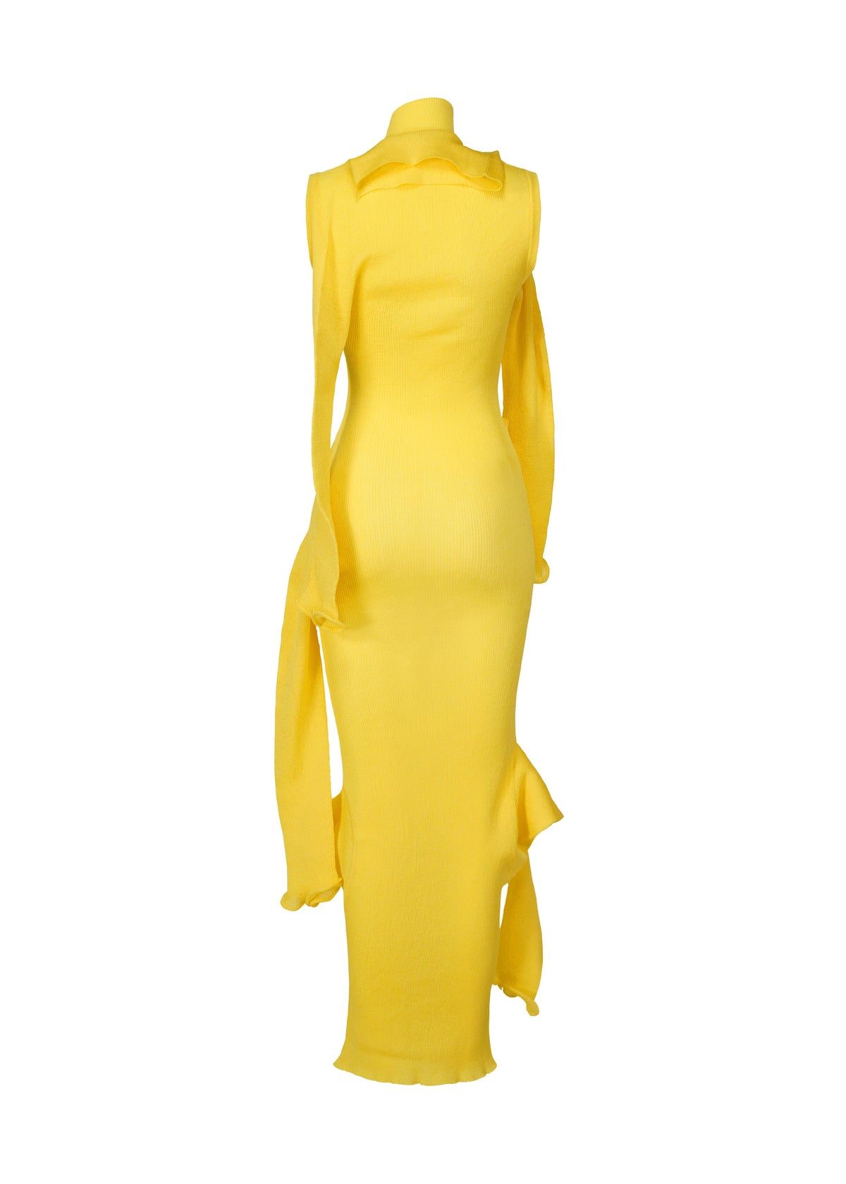 A detail shot of the ISSEY MIYAKE ADVENTITIOUS SLEEVES dress.