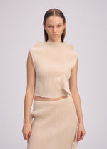 A model wears the ISSEY MIYAKE ADVENTITIOUS HIGH NECKS top.