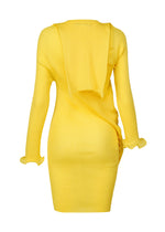 A detail shot of the ISSEY MIYAKE ADVENTITIOUS SLEEVES dress.