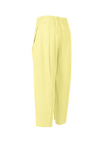 A detail shot of the ISSEY MIYAKE CAMPAGNE trousers.