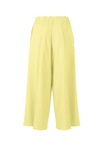 A detail shot of the ISSEY MIYAKE CAMPAGNE trousers.