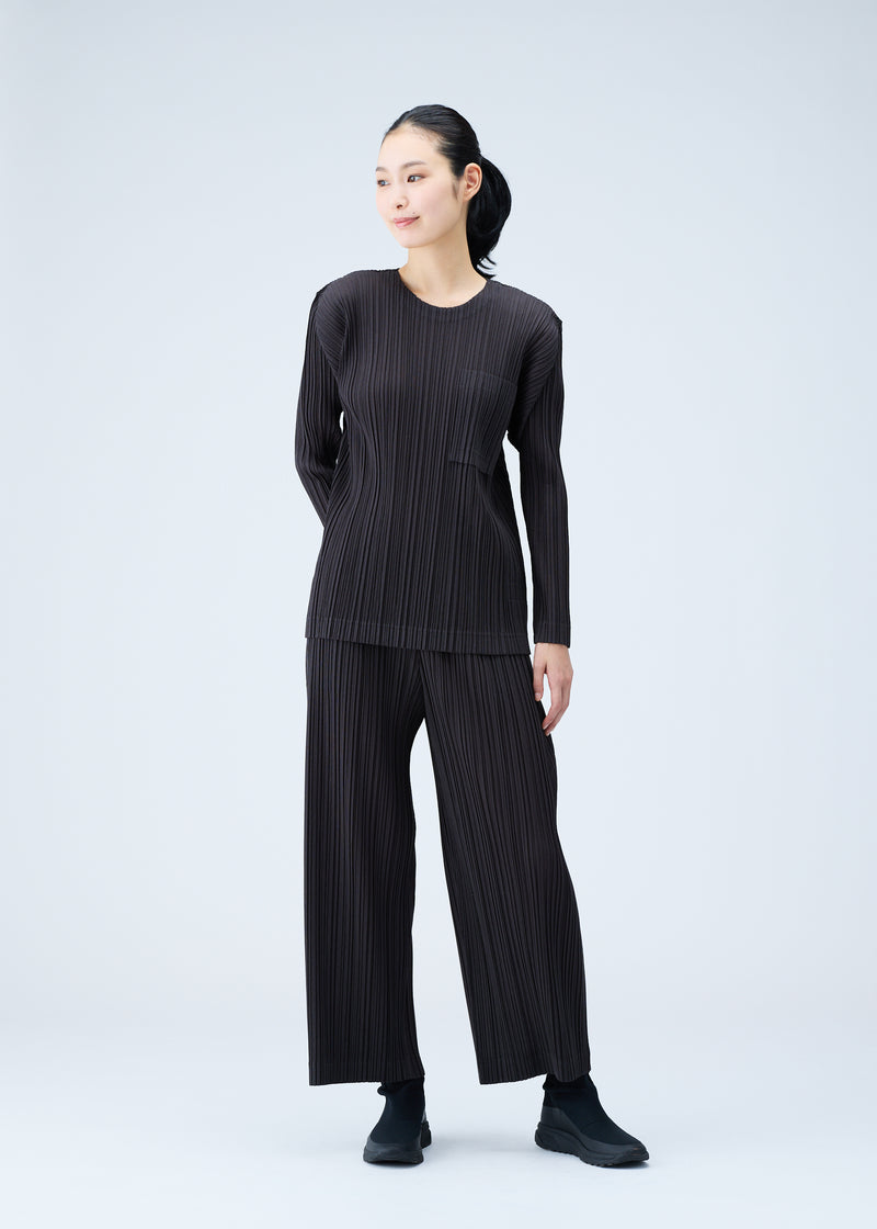 RAMIE PLEATS Trousers Charcoal