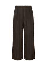 RAMIE PLEATS Trousers Charcoal