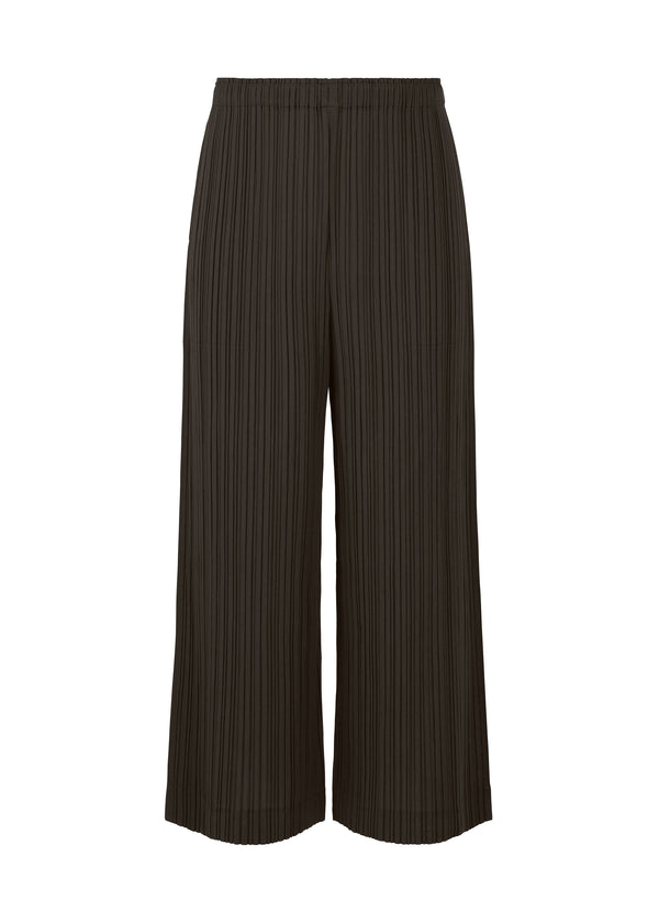 RAMIE PLEATS Trousers Charcoal