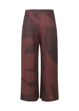 POLAR CACTUS Trousers Brown