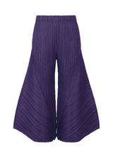 THICKER BOTTOMS 2 Trousers Blue Purple