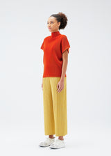 A model wears the PLEATS PLEASE ISSEY MIYAKE  MIST JULY top