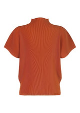 A detail shot of the PLEATS PLEASE ISSEY MIYAKE  MIST JULY top