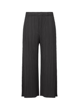 A product shot of the PLEATS PLEASE ISSEY MIYAKE MONTHLY COLORS NOVEMBER trousers in black (15).