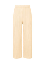 A product shot of the PLEATS PLEASE ISSEY MIYAKE NEBULA trousers in .