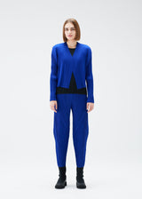 A model wears the PLEATS PLEASE ISSEY MIYAKE POWAN trousers.