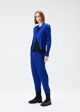 A model wears the PLEATS PLEASE ISSEY MIYAKE POWAN trousers.