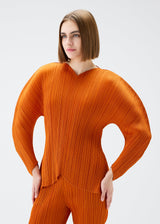 A model wears the PLEATS PLEASE ISSEY MIYAKE WORMHOLE top.