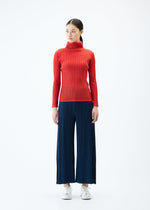 A model wears the PLEATS PLEASE ISSEY MIYAKE RIB PLEATS FEBRUARY top.