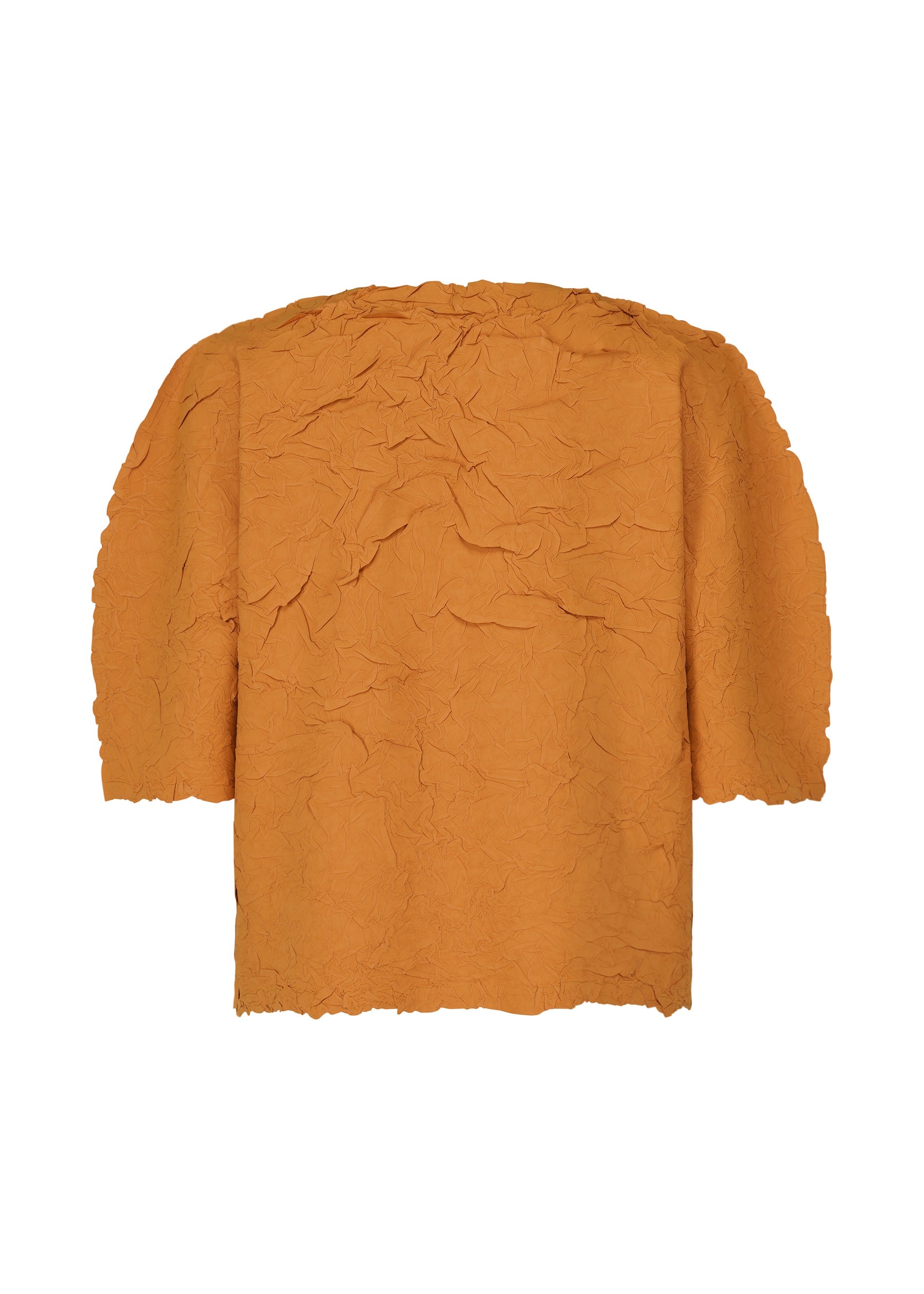 A detail shot of the PLEATS PLEASE ISSEY MIYAKE CRUSH PRESS top.
