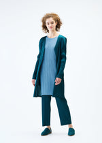 A model wears the PLEATS PLEASE ISSEY MIYAKE MONTHLY COLORS JANUARY coat.