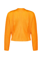 A detail shot of the PLEATS PLEASE ISSEY MIYAKE LANTERN jacket.