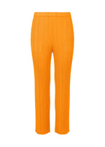 A product shot of the PLEATS PLEASE ISSEY MIYAKE MONTHLY COLORS JANUARY trousers in .