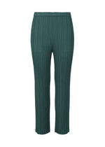 A product shot of the PLEATS PLEASE ISSEY MIYAKE MONTHLY COLORS JANUARY trousers in .