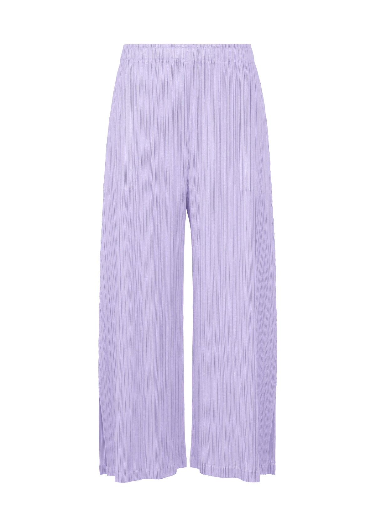 A product shot of the PLEATS PLEASE ISSEY MIYAKE MONTHLY COLORS FEBRUARY trousers in .