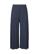 A product shot of the PLEATS PLEASE ISSEY MIYAKE MONTHLY COLORS FEBRUARY trousers in .