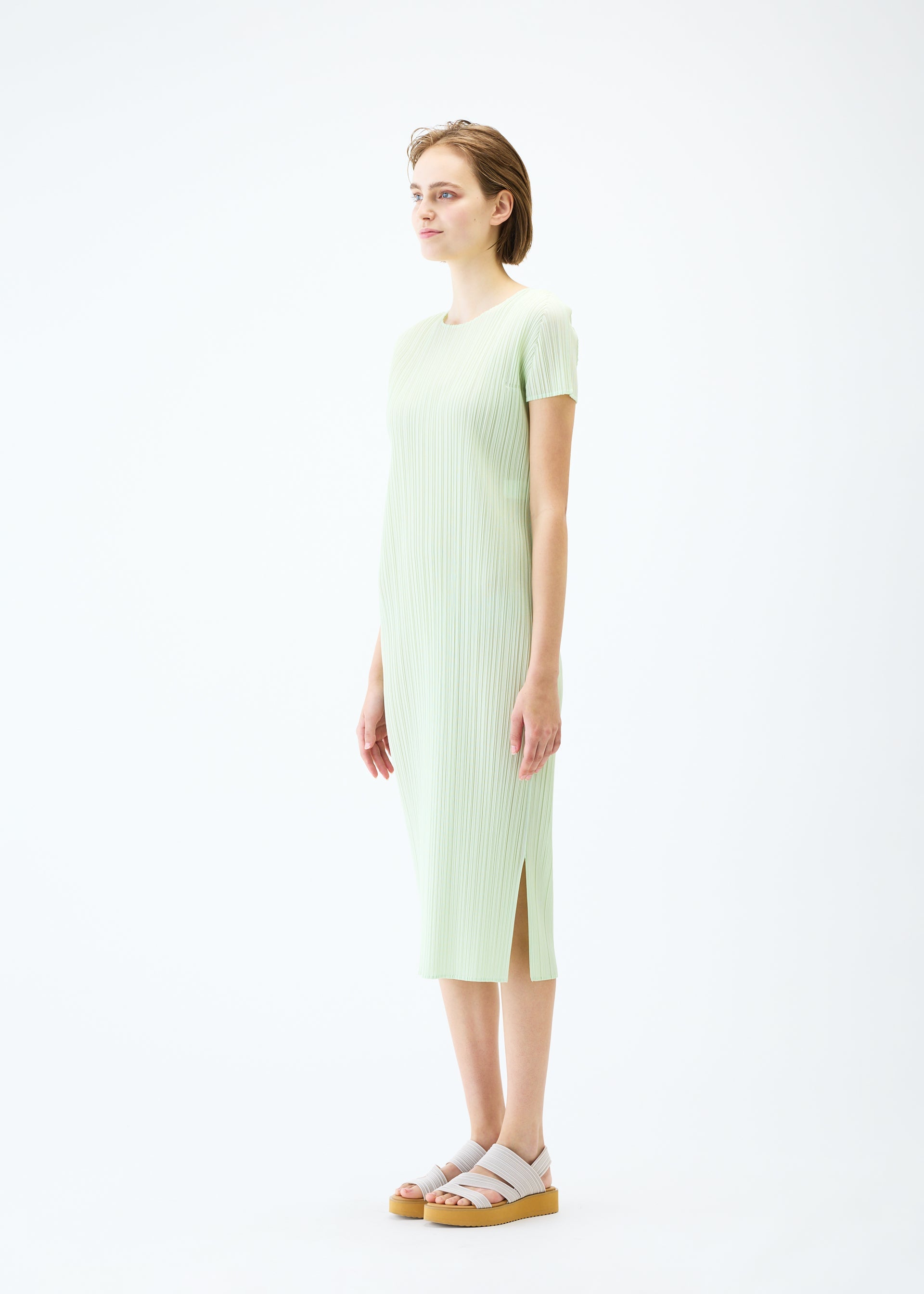 A model wears the PLEATS PLEASE ISSEY MIYAKE MONTHLY COLORS : JUNE dress.