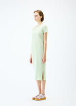 A model wears the PLEATS PLEASE ISSEY MIYAKE MONTHLY COLORS : JUNE dress.