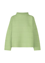 A product shot of the PLEATS PLEASE ISSEY MIYAKE CREPE KNIT top in .