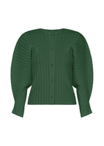 A product shot of the PLEATS PLEASE ISSEY MIYAKE RIB PLEATS DECEMBER clothing in forest green (64).