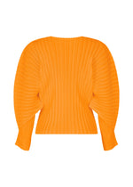 A detail shot of the PLEATS PLEASE ISSEY MIYAKE RIB PLEATS DECEMBER clothing.