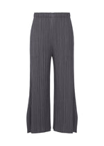 A product shot of the PLEATS PLEASE ISSEY MIYAKE MONTHLY COLORS JULY trousers in dark grey.