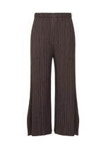 A product shot of the PLEATS PLEASE ISSEY MIYAKE MONTHLY COLORS JULY trousers in dark brown.
