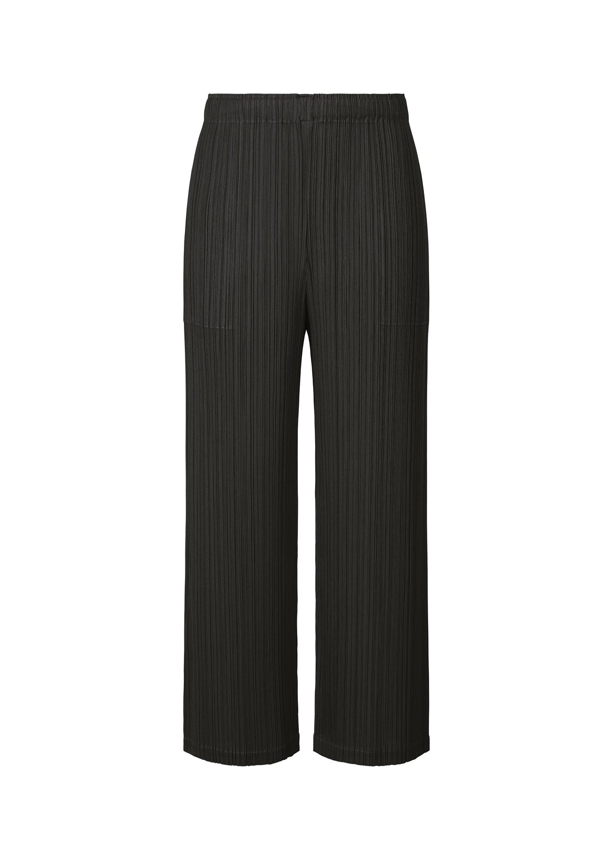 A product shot of the PLEATS PLEASE ISSEY MIYAKE MONTHLY COLORS OCTOBER trousers in black (15).