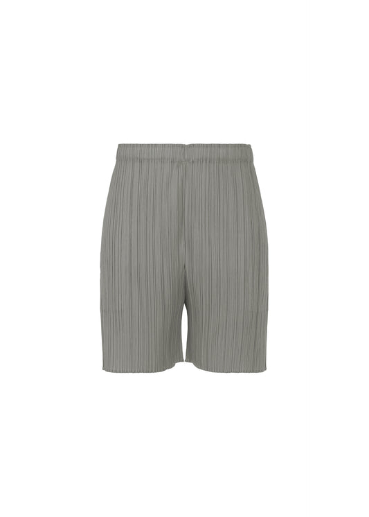 LUCID PLEATS Shorts Grey