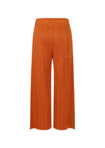 A detail shot of the PLEATS PLEASE ISSEY MIYAKE LOOP BOTTOMS clothing.