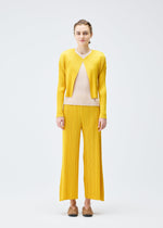 A model wears the PLEATS PLEASE ISSEY MIYAKE MONTHLY COLORS JULY cardigan.