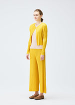 A model wears the PLEATS PLEASE ISSEY MIYAKE MONTHLY COLORS JULY cardigan.