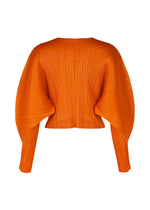 A detail shot of the PLEATS PLEASE ISSEY MIYAKE MONTHLY COLORS DECEMBER clothing.