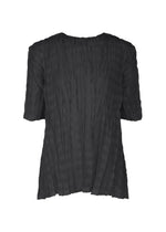 A product shot of the PLEATS PLEASE ISSEY MIYAKE TWISTED BORDER SHIRT shirt in black (15).