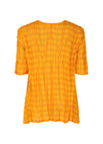 A detail shot of the PLEATS PLEASE ISSEY MIYAKE TWISTED BORDER SHIRT shirt.