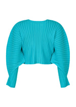 A detail shot of the PLEATS PLEASE ISSEY MIYAKE RIB PLEATS JANUARY clothing.