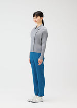 A model wears the PLEATS PLEASE ISSEY MIYAKE MONTHLY COLORS FEBRUARY jacket.