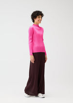 A model wears the PLEATS PLEASE ISSEY MIYAKE MONTHLY COLORS JANUARY clothing.