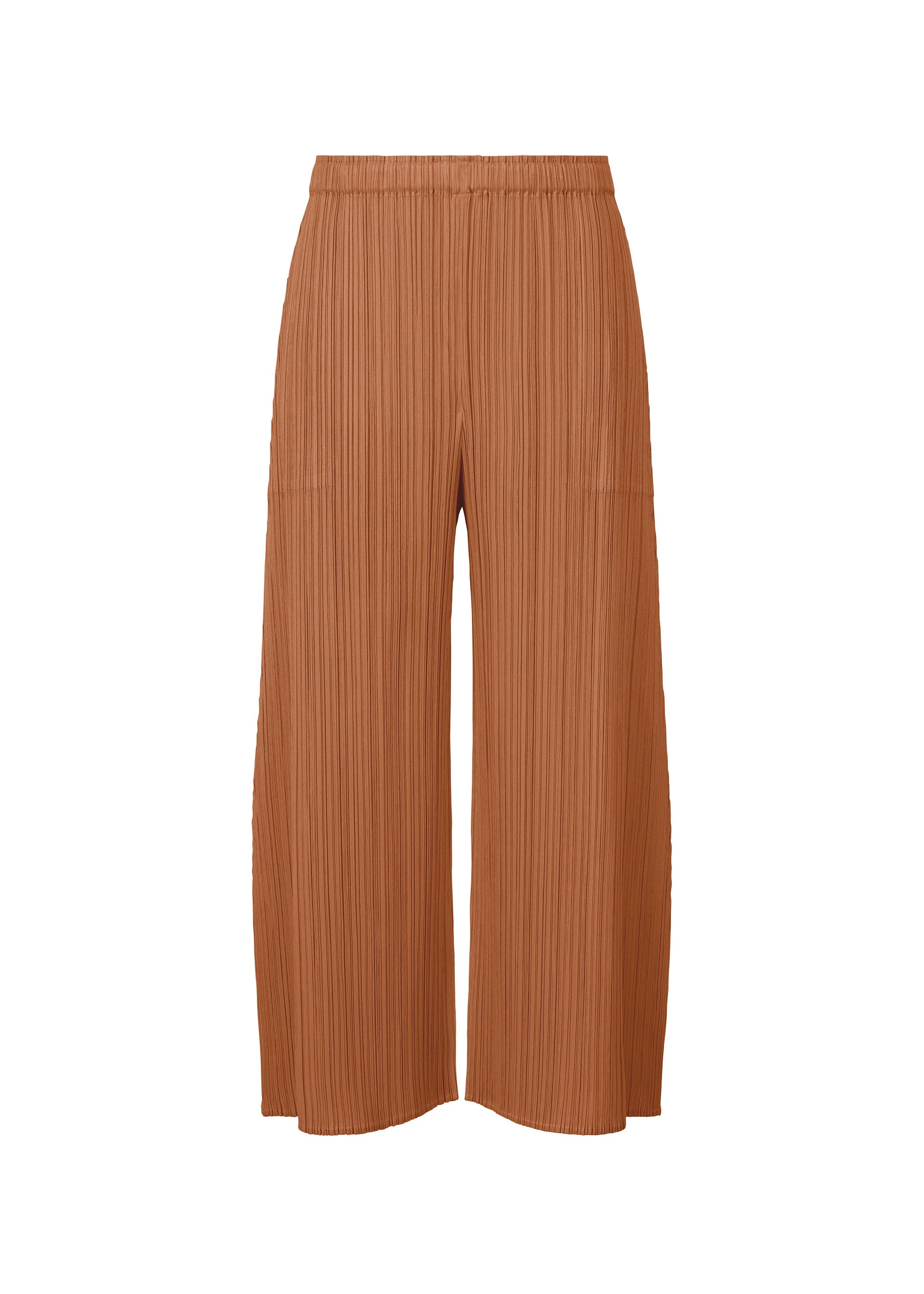 A product shot of the PLEATS PLEASE ISSEY MIYAKE MONTHLY COLORS MARCH trousers in .