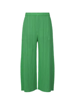 A product shot of the PLEATS PLEASE ISSEY MIYAKE MONTHLY COLORS MARCH trousers in .