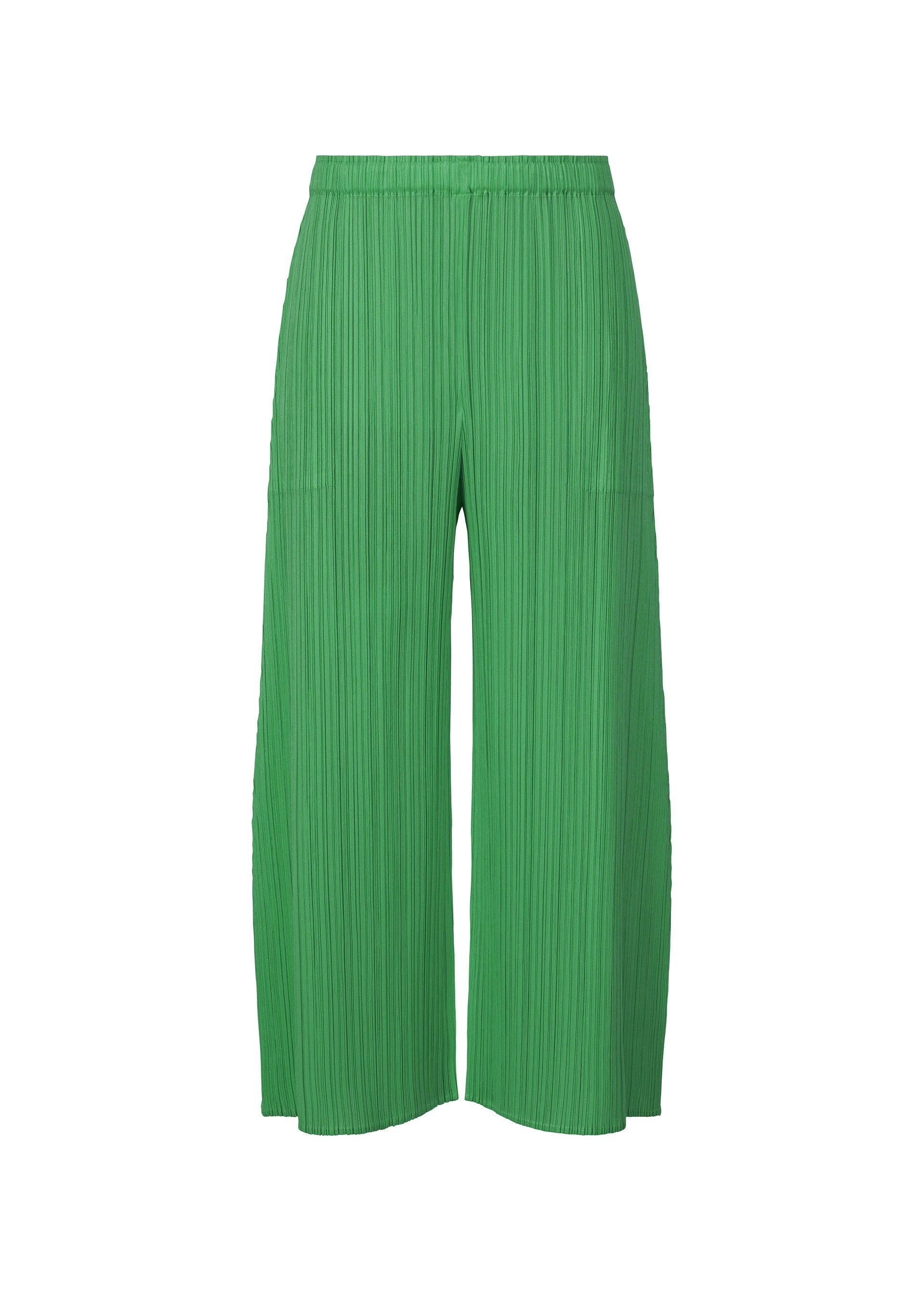 A product shot of the PLEATS PLEASE ISSEY MIYAKE MONTHLY COLORS MARCH trousers in .
