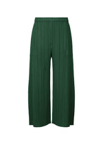 A product shot of the PLEATS PLEASE ISSEY MIYAKE MONTHLY COLORS MARCH trousers in .